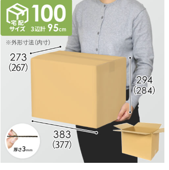 宅急便100标准纸箱